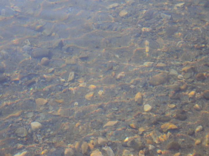 Clear water.JPG